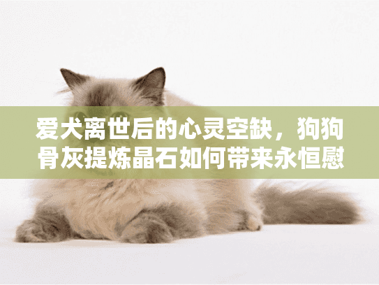 爱犬离世后的心灵空缺，狗狗骨灰提炼晶石如何带来永恒慰藉