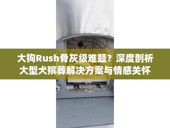 大狗Rush骨灰级难题？深度剖析大型犬殡葬解决方案与情感关怀