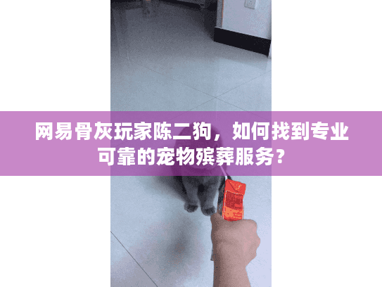 网易骨灰玩家陈二狗，如何找到专业可靠的宠物殡葬服务？