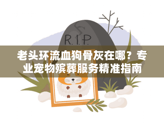 老头环流血狗骨灰在哪？专业宠物殡葬服务精准指南