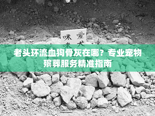 老头环流血狗骨灰在哪？专业宠物殡葬服务精准指南
