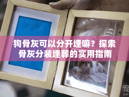 狗骨灰可以分开埋嘛？探索骨灰分装埋葬的实用指南
