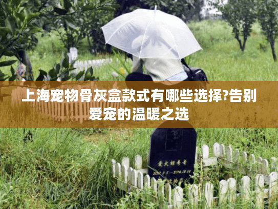 上海宠物骨灰盒款式有哪些选择?告别爱宠的温暖之选