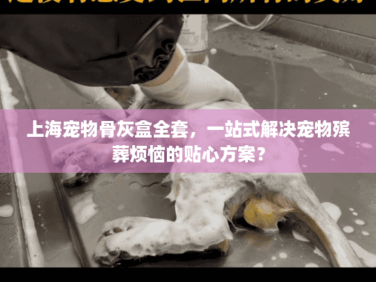 上海宠物骨灰盒全套，一站式解决宠物殡葬烦恼的贴心方案？