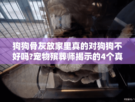 狗狗骨灰放家里真的对狗狗不好吗?宠物殡葬师揭示的4个真相