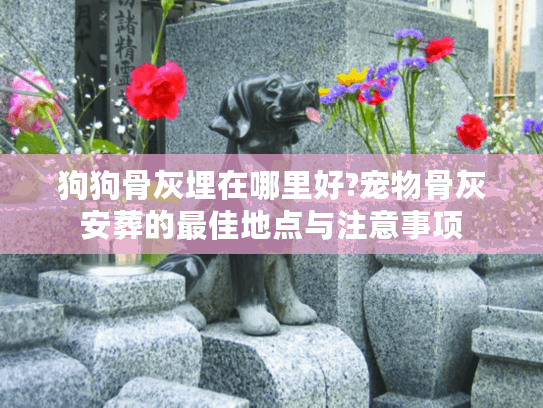 狗狗骨灰埋在哪里好?宠物骨灰安葬的最佳地点与注意事项