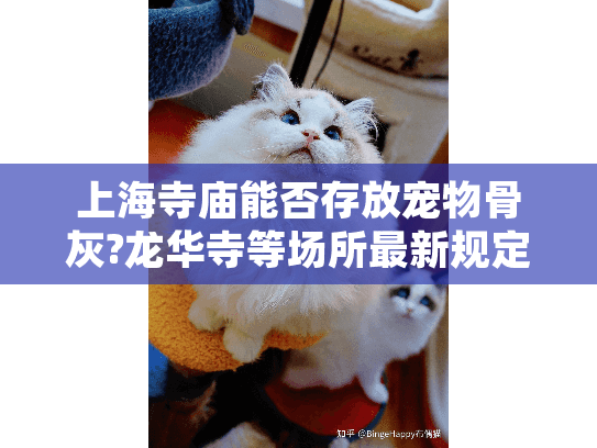 上海寺庙能否存放宠物骨灰?龙华寺等场所最新规定解读