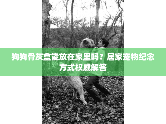 狗狗骨灰盒能放在家里吗？居家宠物纪念方式权威解答