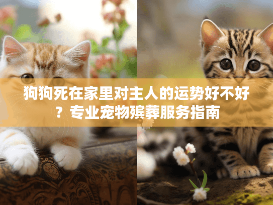 狗狗死在家里对主人的运势好不好？专业宠物殡葬服务指南