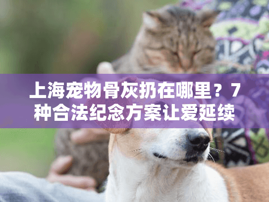 上海宠物骨灰扔在哪里？7种合法纪念方案让爱延续