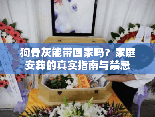 狗骨灰能带回家吗?家庭安葬的真实指南与禁忌 狗骨灰能带回家吗?家庭安葬的真实指南与禁忌