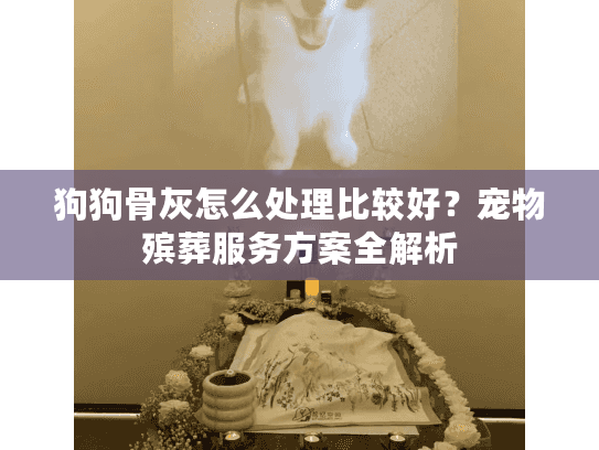 狗狗骨灰怎么处理比较好？宠物殡葬服务方案全解析