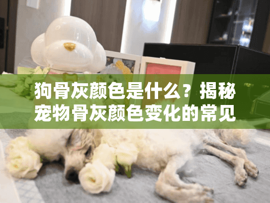 狗骨灰颜色是什么？揭秘宠物骨灰颜色变化的常见疑问