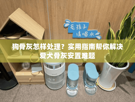 狗骨灰怎样处理？实用指南帮你解决爱犬骨灰安置难题