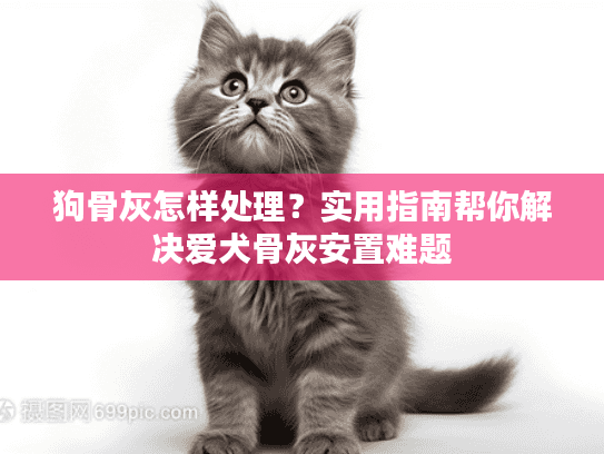狗骨灰怎样处理？实用指南帮你解决爱犬骨灰安置难题
