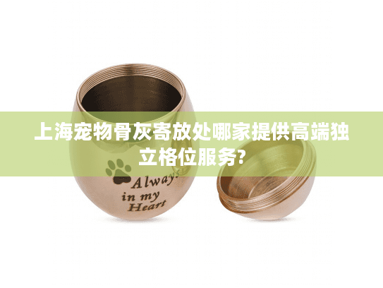 上海宠物骨灰寄放处哪家提供高端独立格位服务?