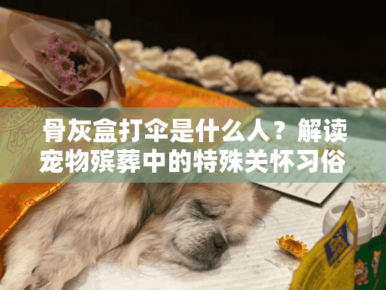 骨灰盒打伞是什么人？解读宠物殡葬中的特殊关怀习俗