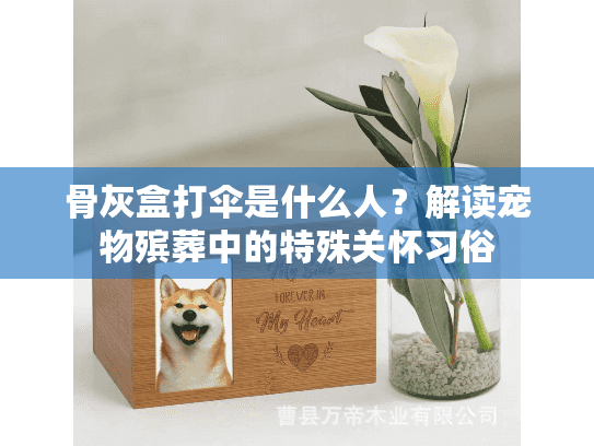 骨灰盒打伞是什么人？解读宠物殡葬中的特殊关怀习俗
