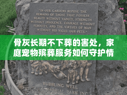 骨灰长期不下葬的害处，家庭宠物殡葬服务如何守护情感健康