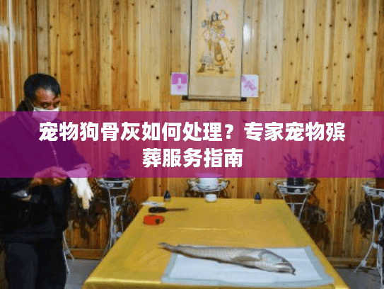 宠物狗骨灰如何处理？专家宠物殡葬服务指南