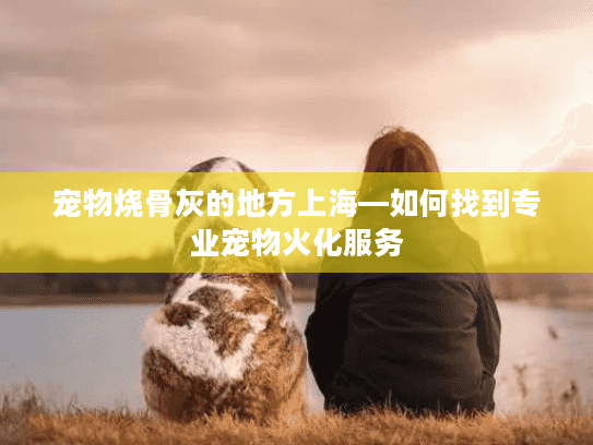 宠物烧骨灰的地方上海—如何找到专业宠物火化服务