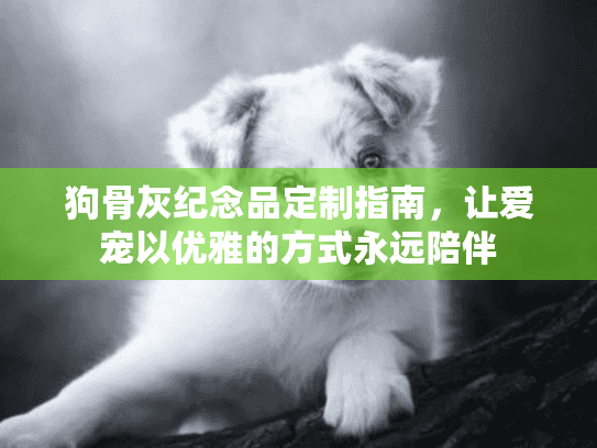 狗骨灰纪念品定制指南，让爱宠以优雅的方式永远陪伴