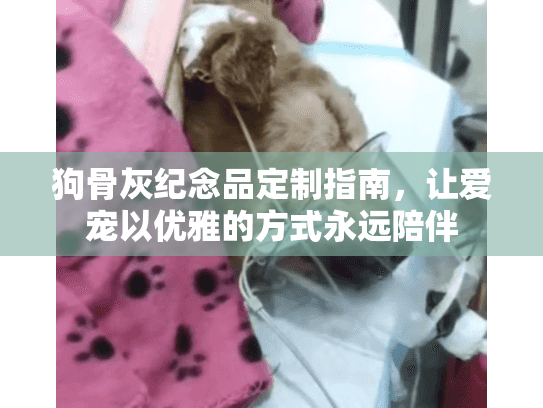 狗骨灰纪念品定制指南，让爱宠以优雅的方式永远陪伴