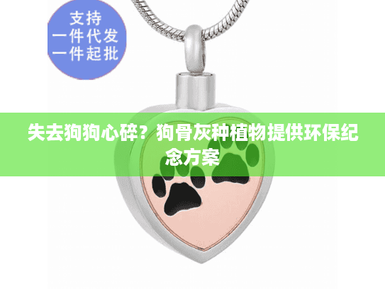 失去狗狗心碎？狗骨灰种植物提供环保纪念方案