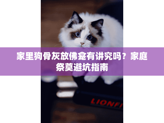 家里狗骨灰放佛龛有讲究吗？家庭祭奠避坑指南