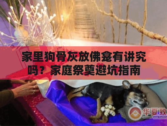 家里狗骨灰放佛龛有讲究吗？家庭祭奠避坑指南