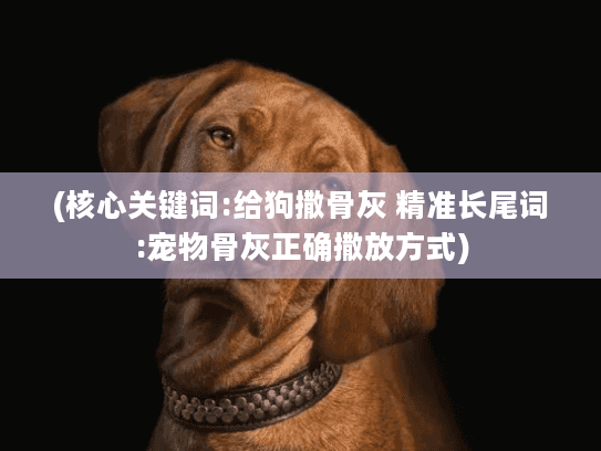 (核心关键词:给狗撒骨灰 精准长尾词:宠物骨灰正确撒放方式)