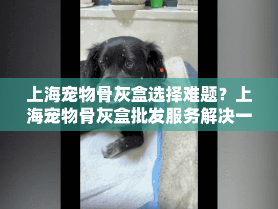 上海宠物骨灰盒选择难题？上海宠物骨灰盒批发服务解决一切