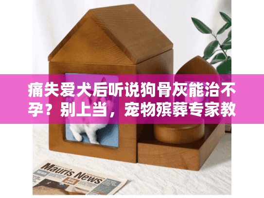痛失爱犬后听说狗骨灰能治不孕？别上当，宠物殡葬专家教你正确告别
