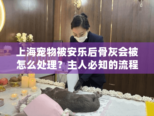 上海宠物被安乐后骨灰会被怎么处理？主人必知的流程与选择