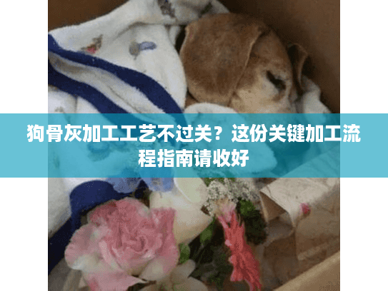 狗骨灰加工工艺不过关？这份关键加工流程指南请收好