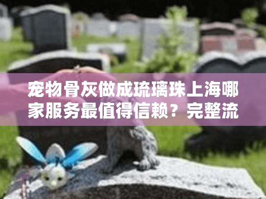 宠物骨灰做成琉璃珠上海哪家服务最值得信赖？完整流程与避坑指南