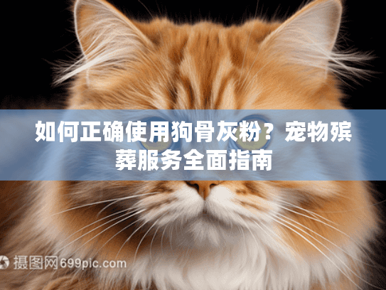 如何正确使用狗骨灰粉？宠物殡葬服务全面指南