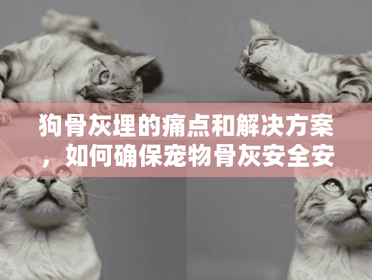 狗骨灰埋的痛点和解决方案，如何确保宠物骨灰安全安葬？