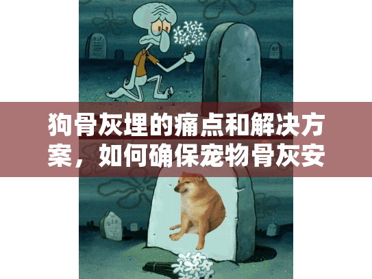 狗骨灰埋的痛点和解决方案，如何确保宠物骨灰安全安葬？