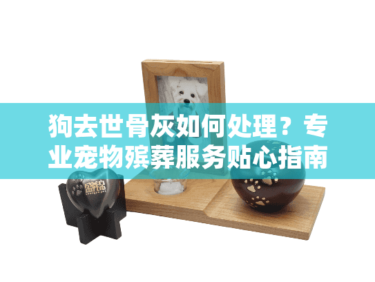 狗去世骨灰如何处理？专业宠物殡葬服务贴心指南