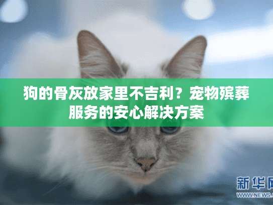 狗的骨灰放家里不吉利？宠物殡葬服务的安心解决方案