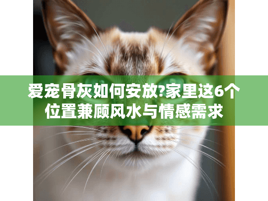 爱宠骨灰如何安放?家里这6个位置兼顾风水与情感需求