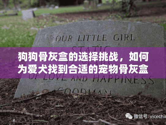 狗狗骨灰盒的选择挑战,如何为爱犬找到合适的宠物骨灰盒 狗狗骨灰盒的选择挑战,如何为爱犬找到合适的宠物骨灰盒