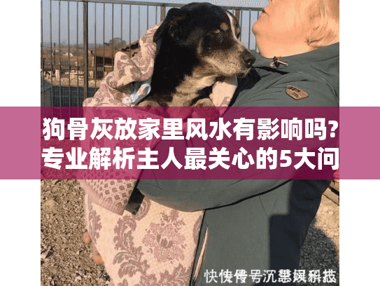 狗骨灰放家里风水有影响吗?专业解析主人最关心的5大问题