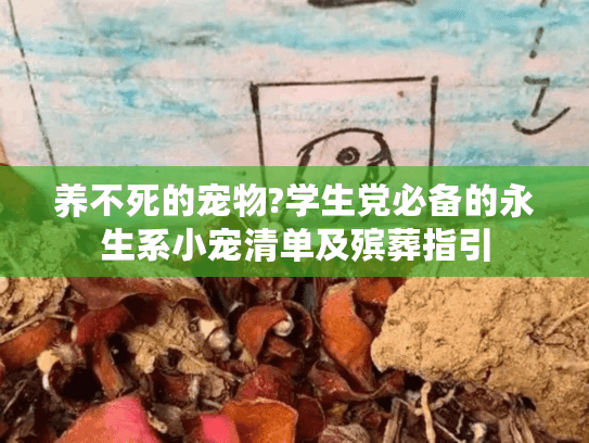 养不死的宠物?学生党必备的永生系小宠清单及殡葬指引