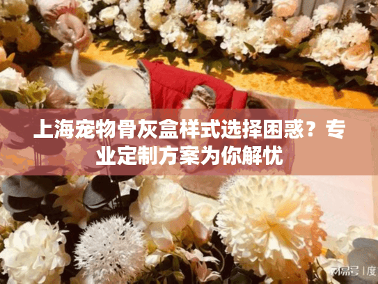 上海宠物骨灰盒样式选择困惑？专业定制方案为你解忧