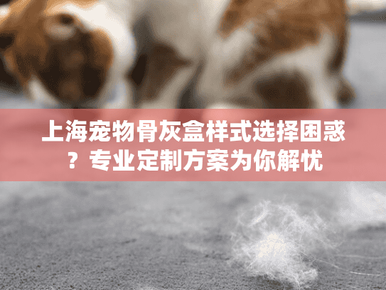 上海宠物骨灰盒样式选择困惑？专业定制方案为你解忧