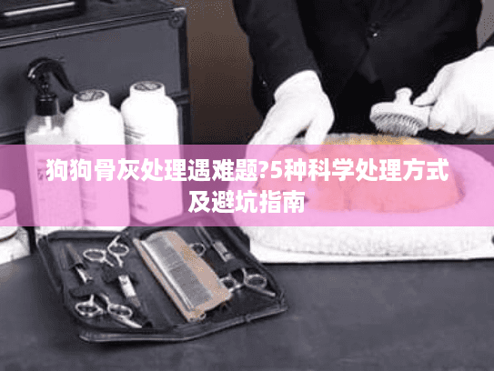 狗狗骨灰处理遇难题?5种科学处理方式及避坑指南