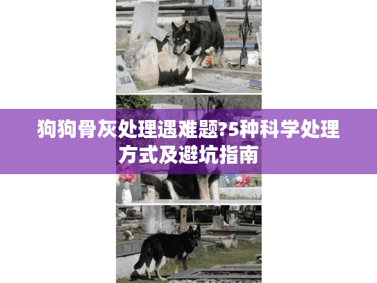 狗狗骨灰处理遇难题?5种科学处理方式及避坑指南