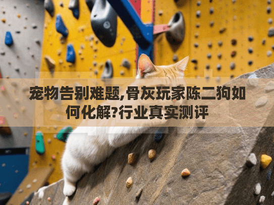 宠物告别难题,骨灰玩家陈二狗如何化解?行业真实测评